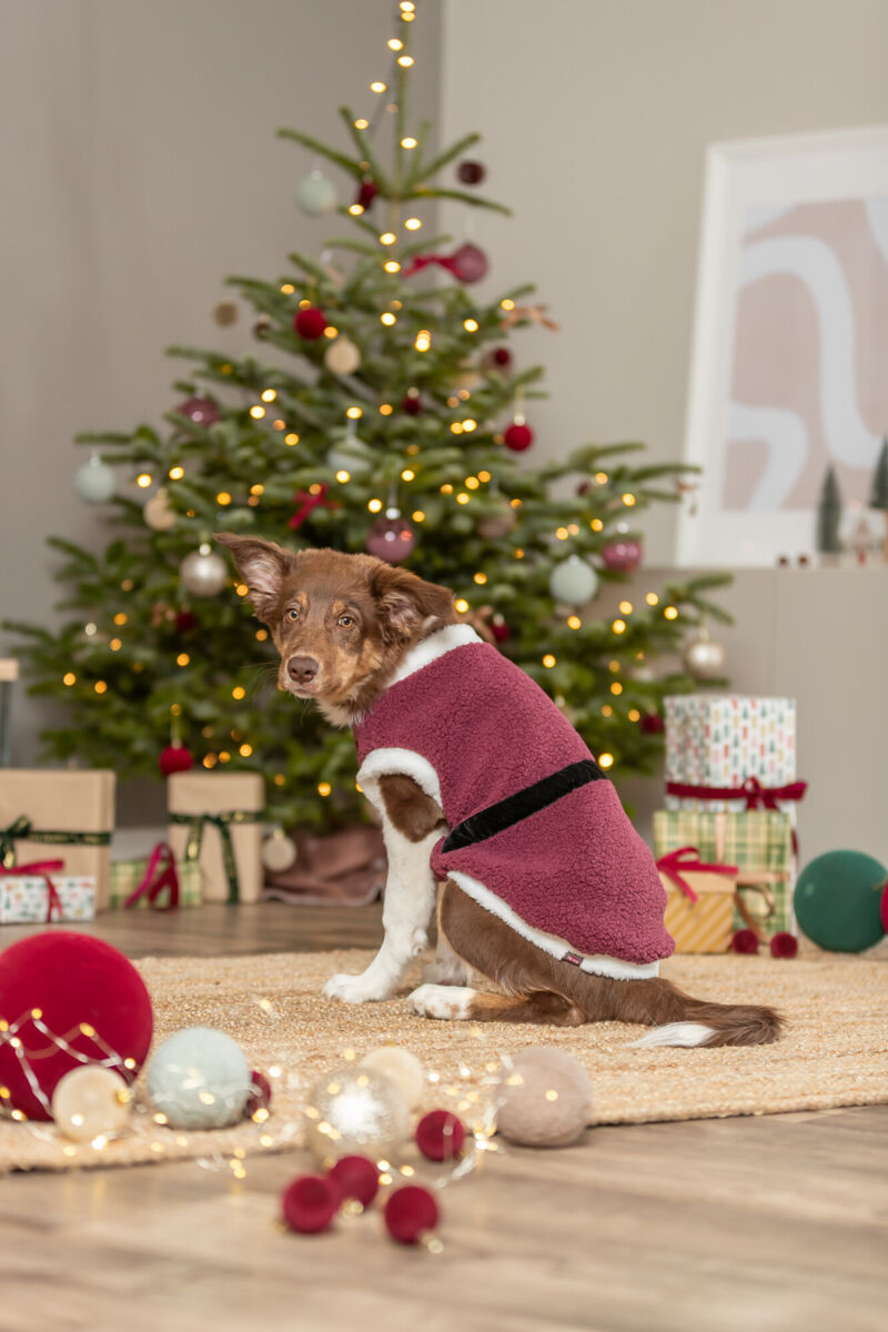 Trixie kerstjas Saint Nick - 3 maten - bordeaux rood
