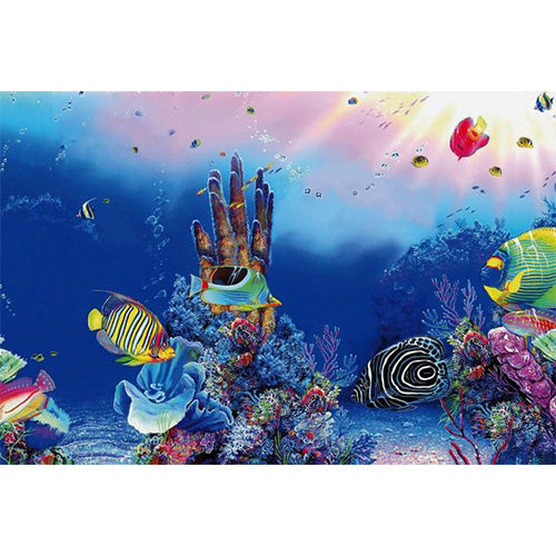 Sf Deco Poster 120 x 49 cm