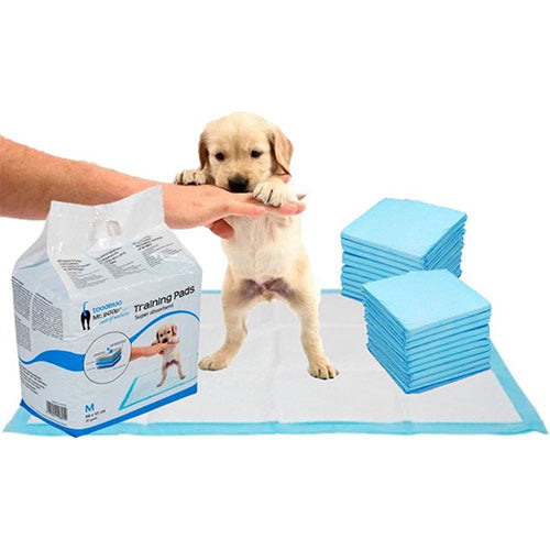 Mr Poop Trainingstücher - Pipi-Tücher