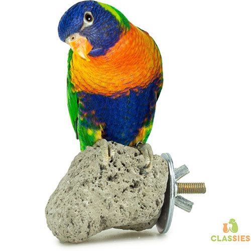 Back Zoo Nature Java Lava Stone - ca. 8 x 8 cm