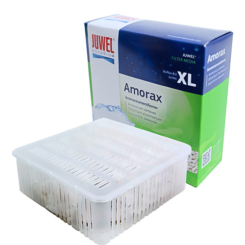 Juwel amorax - M - L - XL