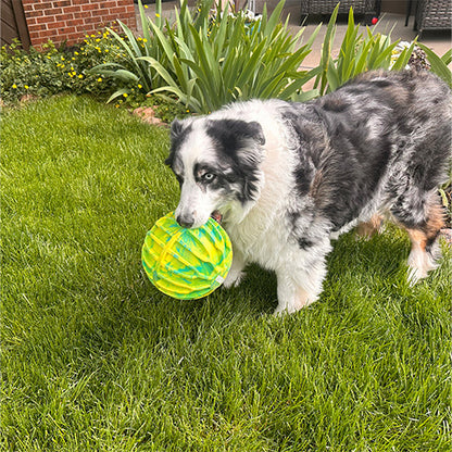 Kong Flexball Sport Ball XL - Hondenspeelgoed - ø 17,7 cm