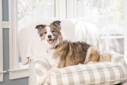 Anti blafband Petsafe met spray