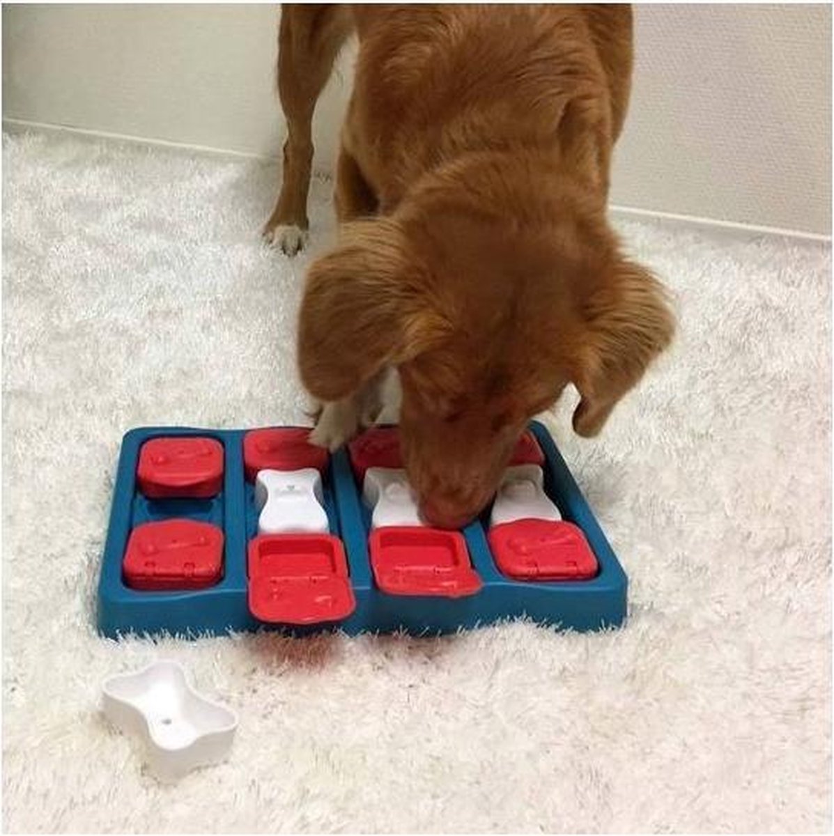 Nina Ottosson - Hondenspel - Dog brick