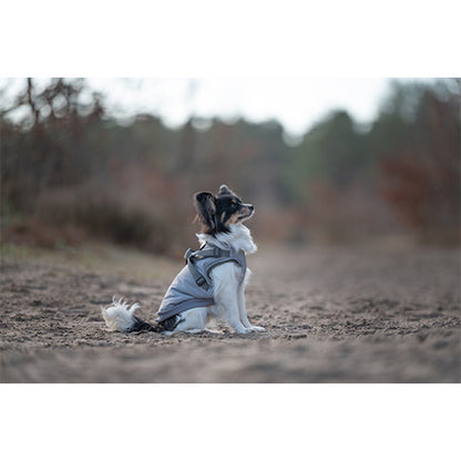 Jack and Vanilla Dogwalk Jacket Harness London - Hondenjas met Harnas - Grijs - Verkrijgbaar in 7 maten