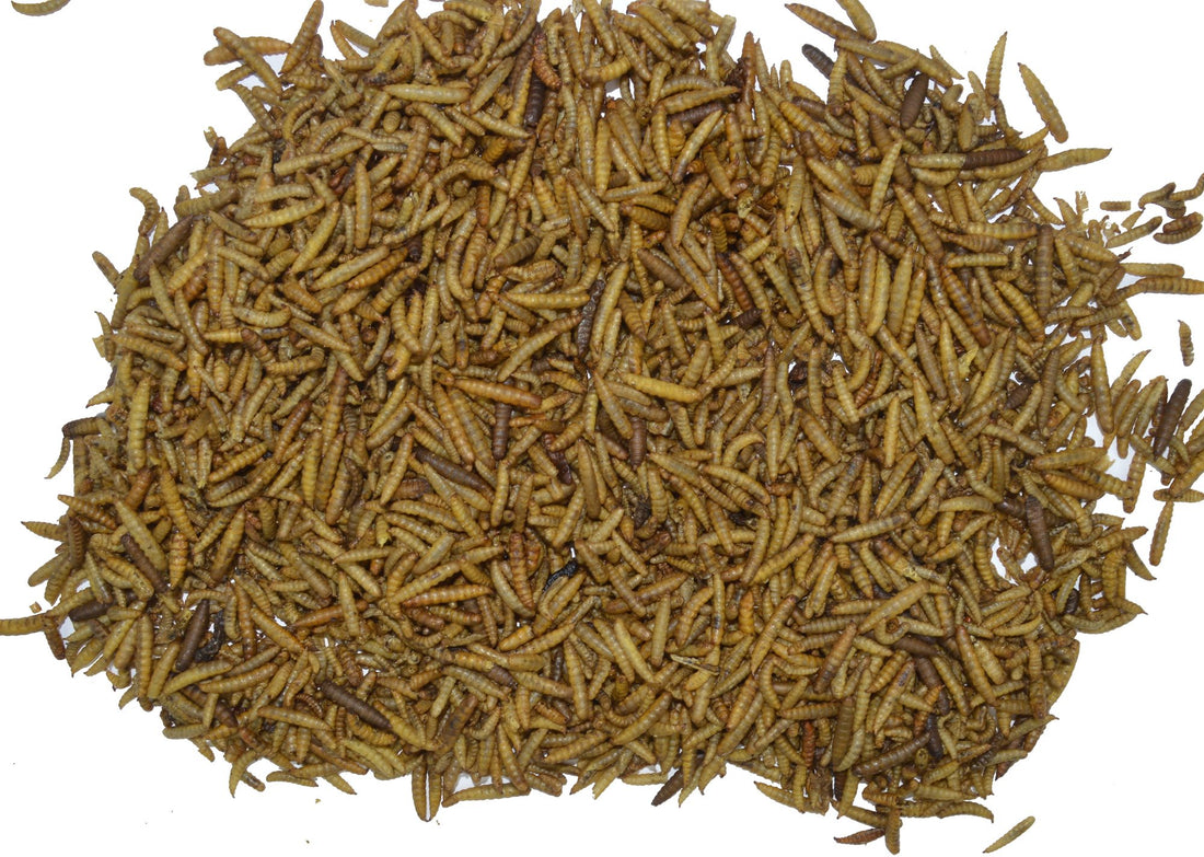 Garden Heroes Energielarven - Aufgeblasene Larven