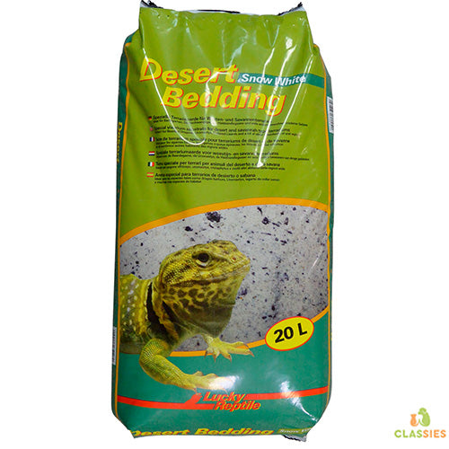 Chanceux reptile literie du désert blanc neige