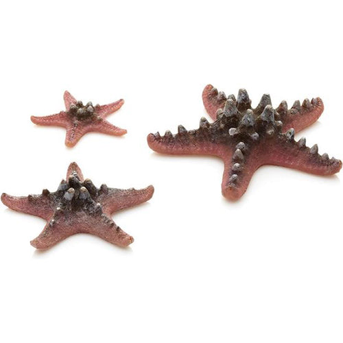 Biorb zeester set - roze