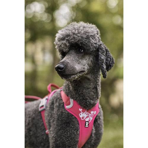 Hurtta hondenharnas - hondentuigje - weekend warrior