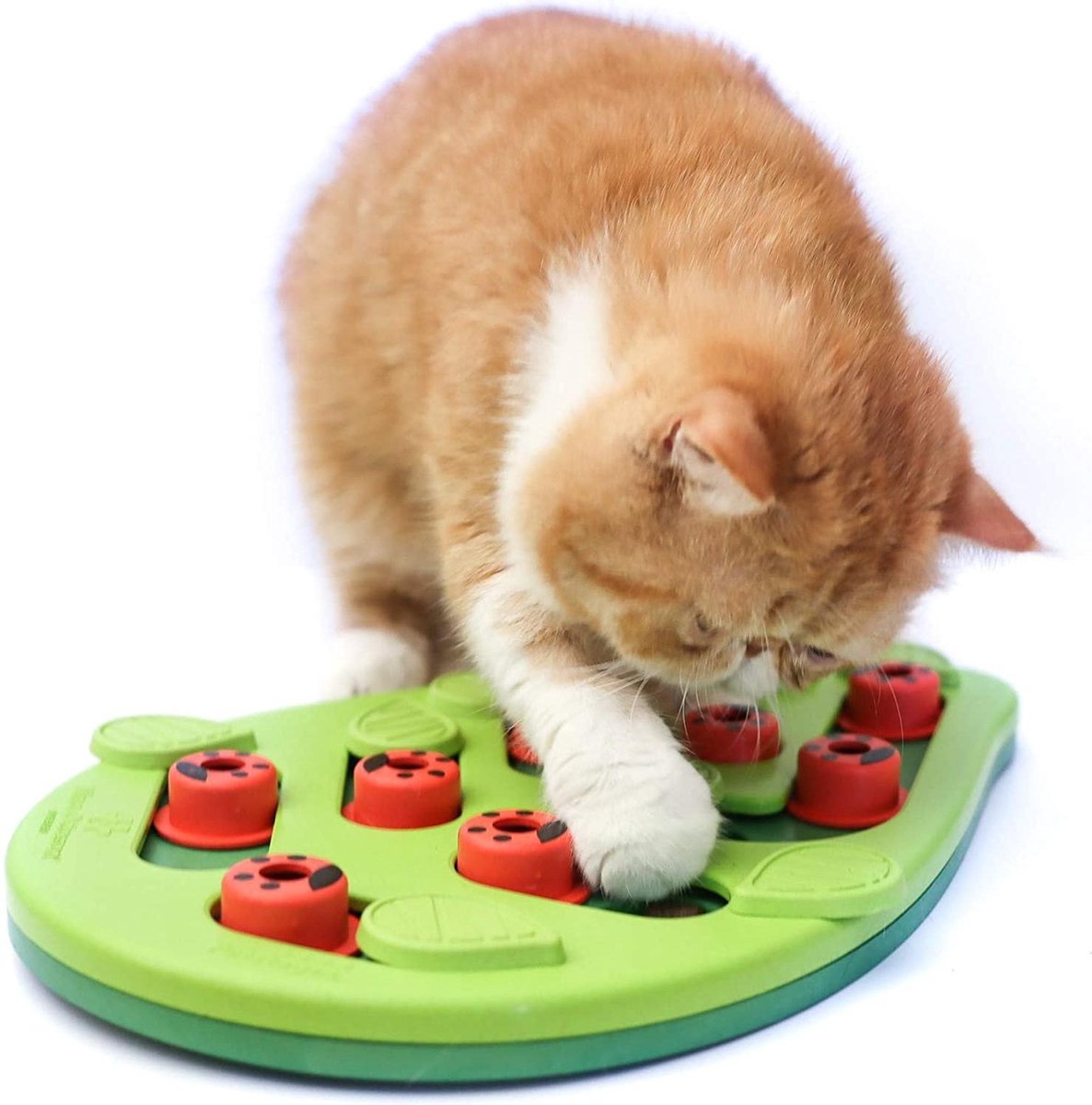 Nina ottosson puzzle &amp; play buggin out groen 35x26x4 cm