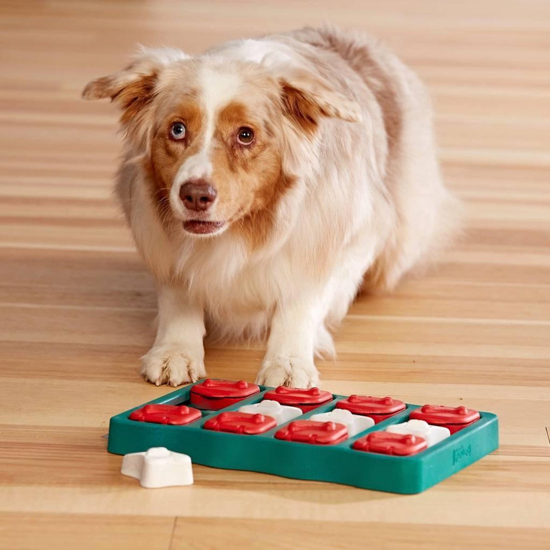 Nina Ottosson - Hondenspel - Dog brick