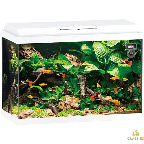 Aquarium Juwel Primo 70 - 70 litres - 61 x 31 x 44 cm - blanc ou noir