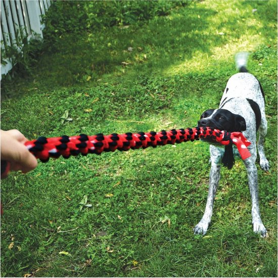 Kong signature rope double tug - trektouw