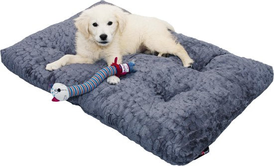 Jack and Vanilla Scale Hundekissen - 5 Größen