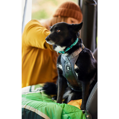 Hurtta travel harness autoharnas eco blackberry - zwart