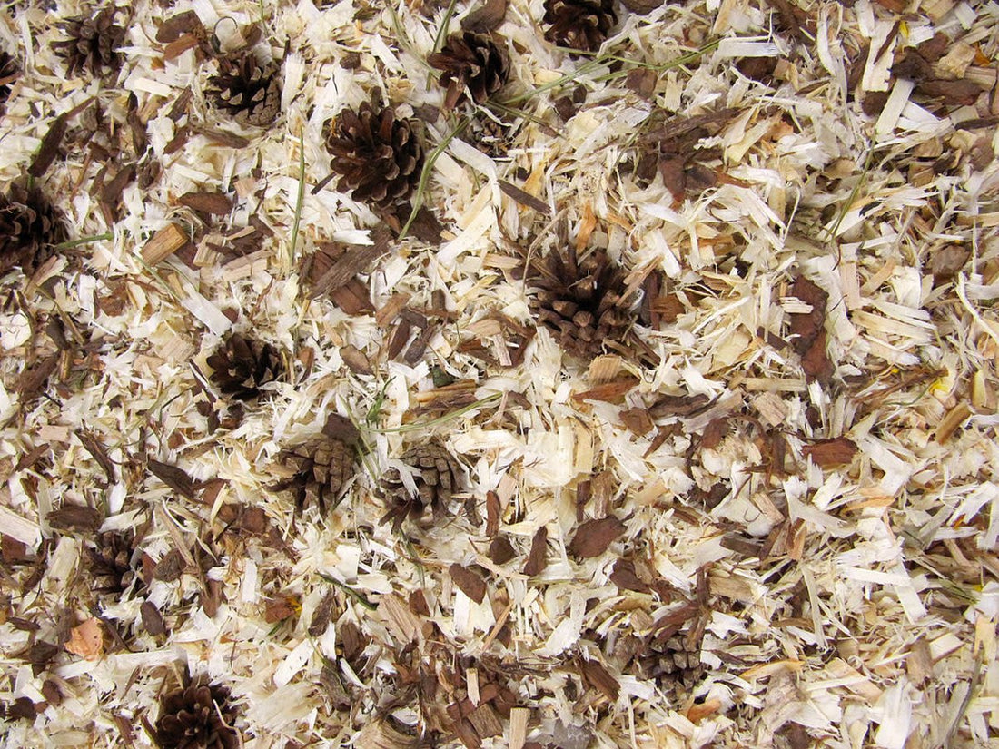 JR Farm knaagdier strooisel bosgevoel 10 liter