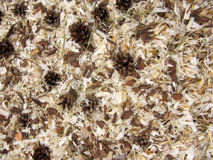 JR Farm knaagdier strooisel bosgevoel 10 liter