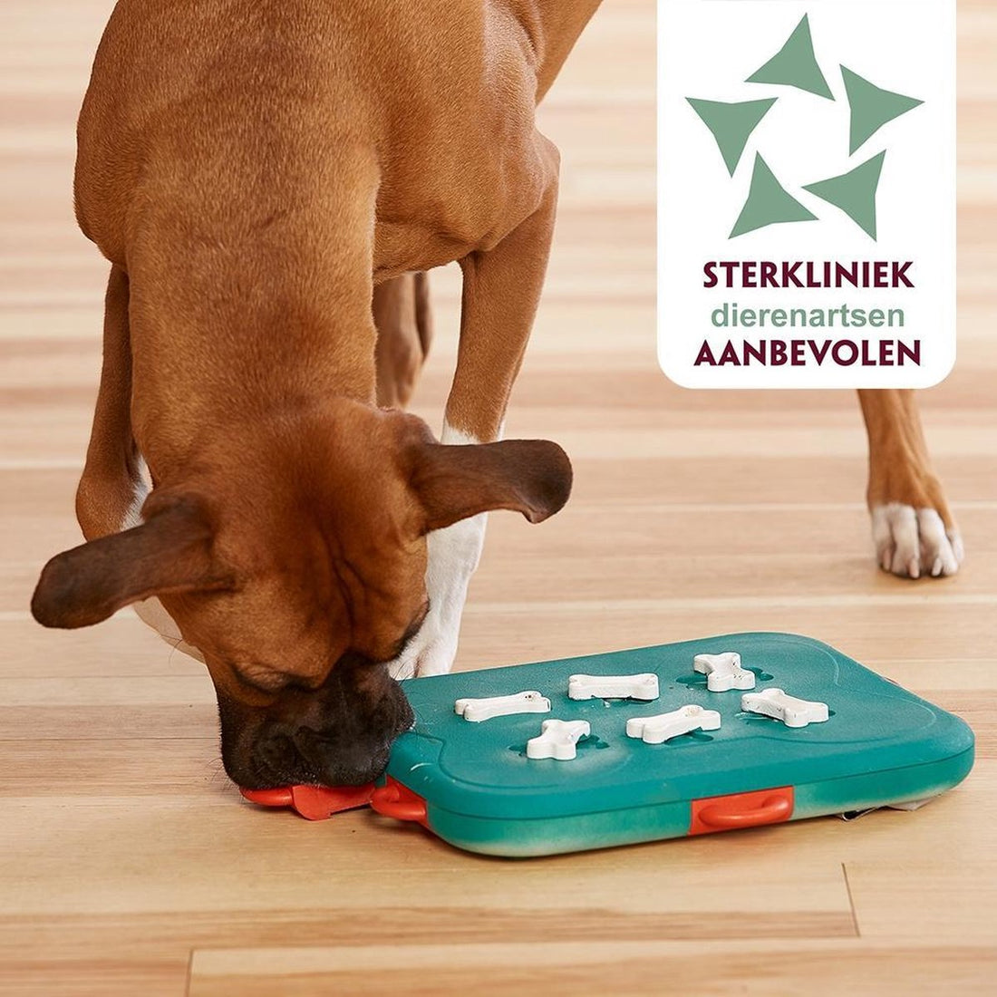 Nina Ottosson Dog Casino – Türkis/Orange – 31,5 x 26 x 4,5 cm