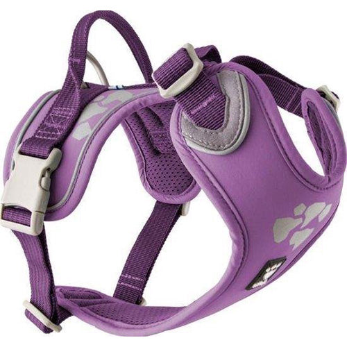 Hurtta Weekend Warrior Honden Harnas - Kleur: Currant Paars - Borstomvang: 100 - 120 cm