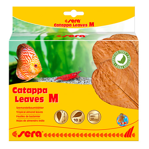 Sera Catappa-Blätter S - M - XXL