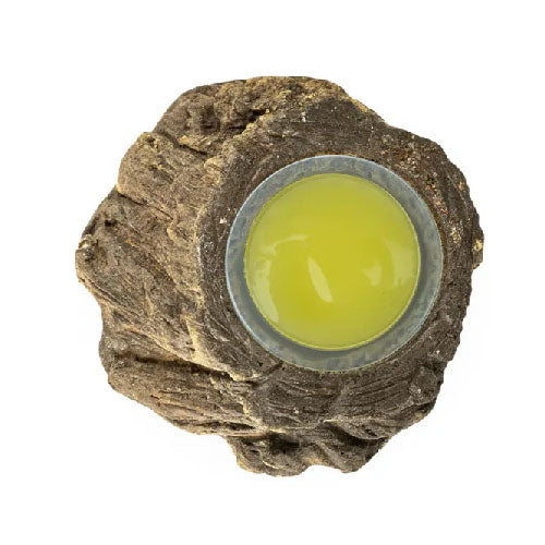 Porte-gobelet à fruits Zoo Nature Écorce - ⌀ 5 x 3 cm