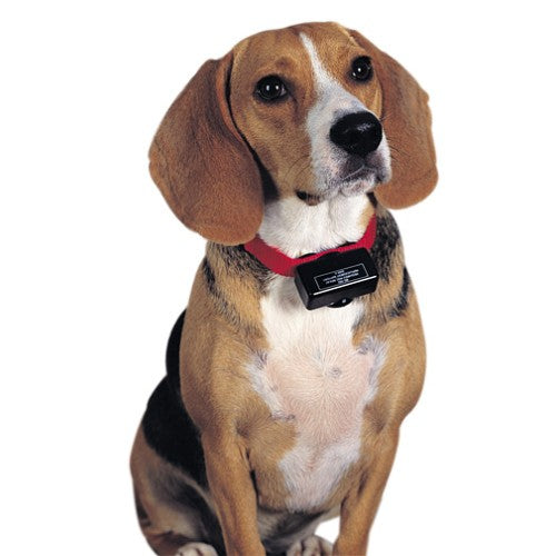 Collier anti-aboiement Petsafe