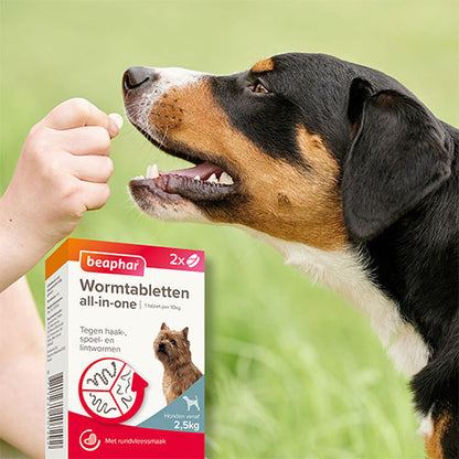 Beaphar Wormtabletten All-in-One Voor Honden