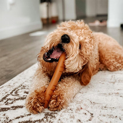 Nylabone Giant Baguette Chicken Kauwspeelgoed - Voor Honden tot 23 kg