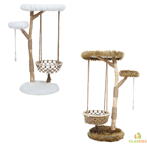 Boony Est1941 krabpaal klimboom Quercus wit of bruin