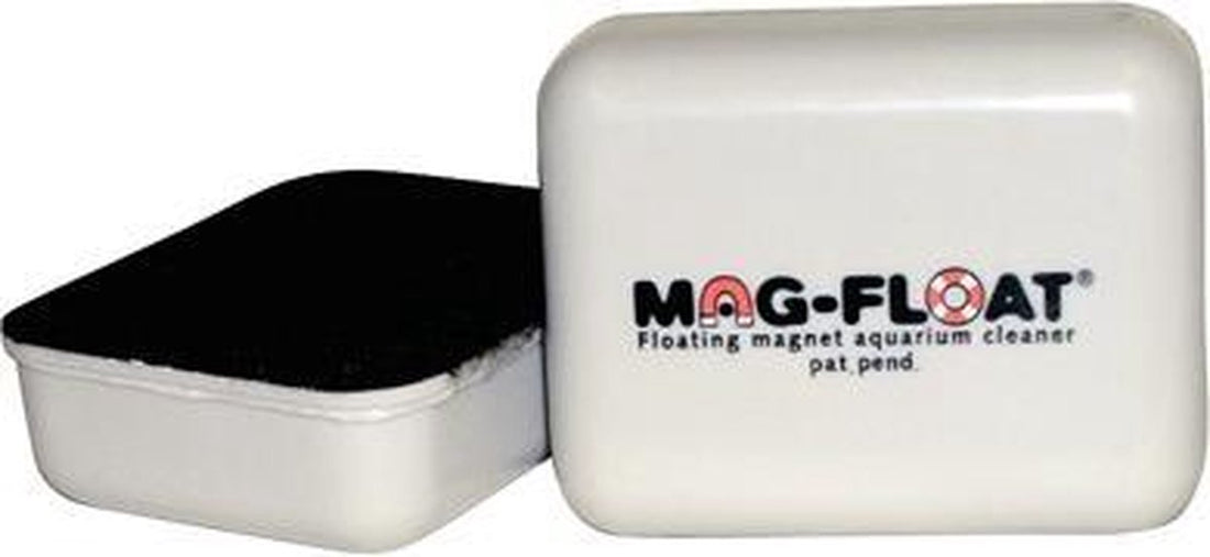 Mag-float algenmagneet vierkant voor glas tot 16 mm