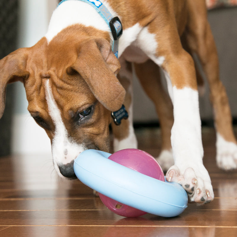 Kong hond gyro puppy small
