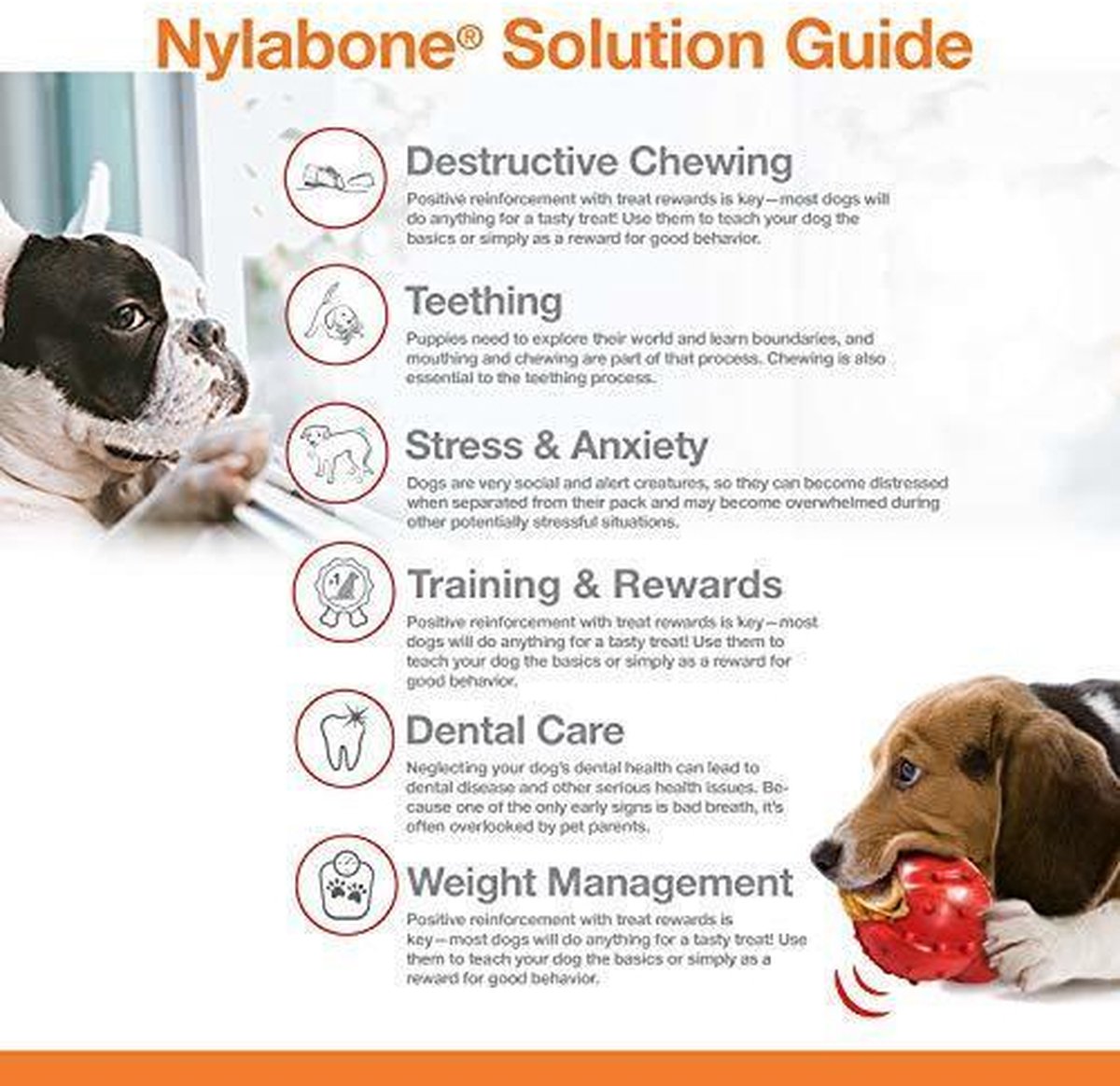 Nylabone flexi voor honden puppy dental dinosaur chicken tot 11 kg