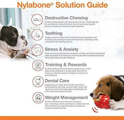 Nylabone flexi voor honden puppy dental dinosaur chicken tot 11 kg