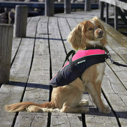 Baltic Dog Rettungsweste-Maskottchen – erhältlich in 4 Farben und 6 Größen