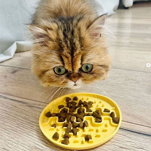 Fiboo Lollipop Mini Likmat voor honden of katten ø13 cm - verkrijgbaar in diverse kleuren