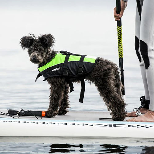 Baltic Dog Rettungsweste-Maskottchen – erhältlich in 4 Farben und 6 Größen