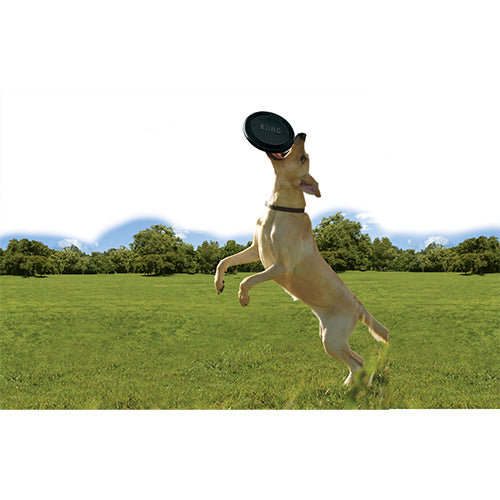Kong dog Extreme Flyer caoutchouc noir, Ø 22,5 cm