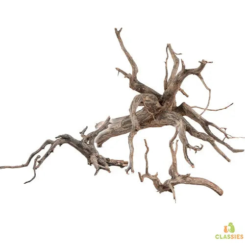 sera Scaper Root Classies