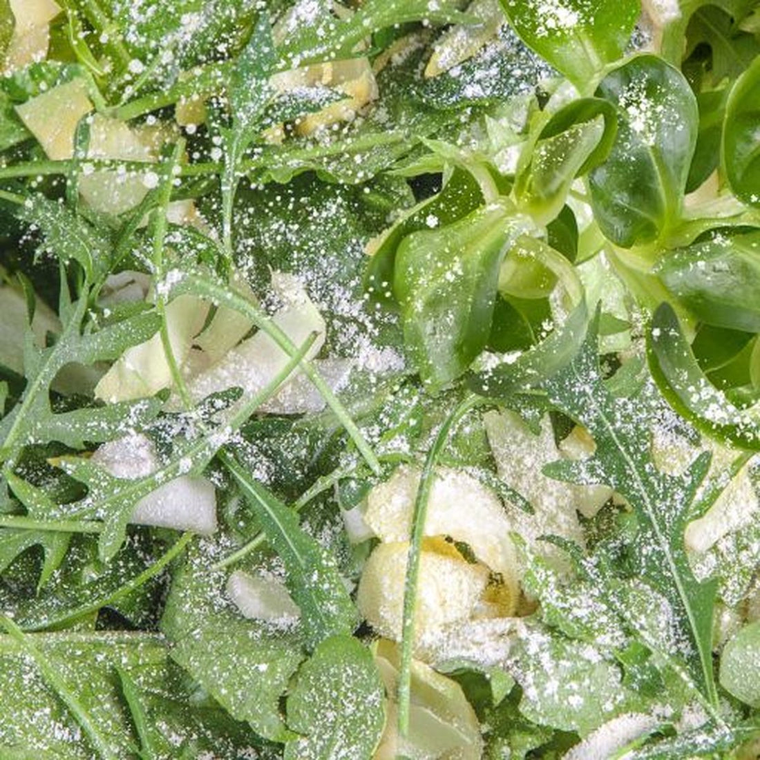 Sera Reptimineral - Mineralstoffe und Vitamine für Pflanzenfresser - 100 ml