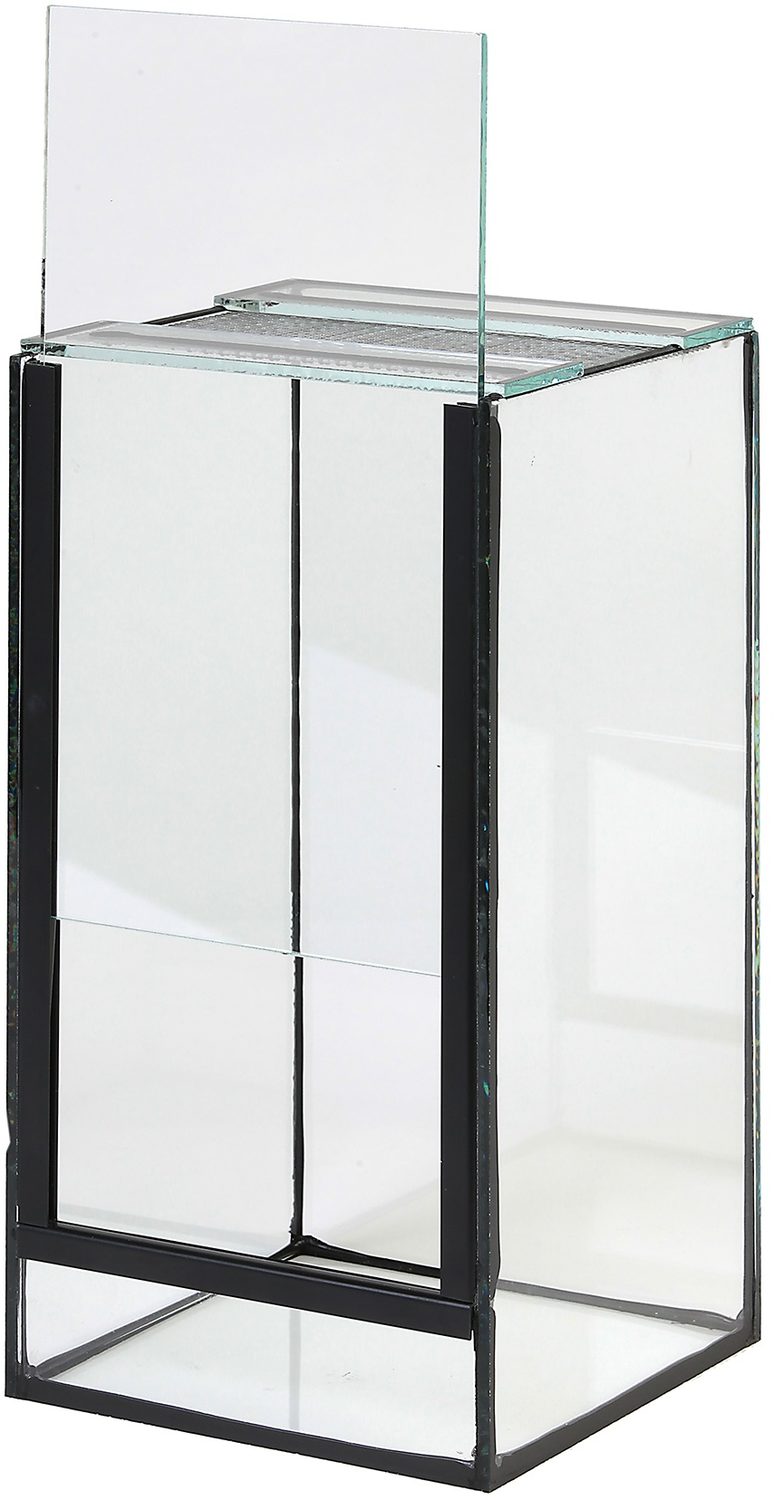 Terrarium en verre en 3 tailles avec porte guillotine