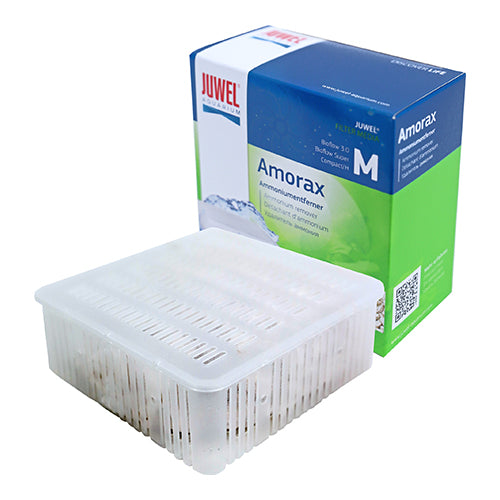 Juwel amorax - M - L - XL