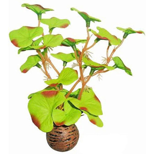 Superfish Easy Plants Kunstplant van Zijde - 13 cm