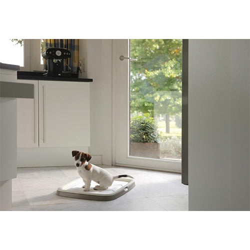 Kit de démarrage Savic Puppy Trainer - Avec toilettes et 7 coussinets - Taille L : 60x48x4 cm