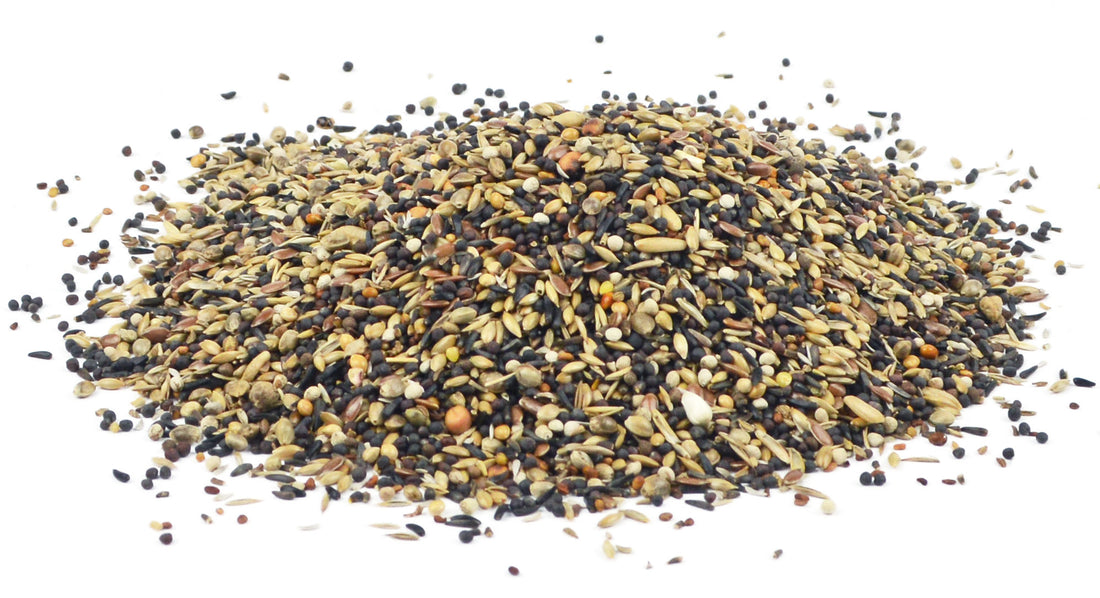 Vogelfutter Pro Bird-X Zeisig und Stieglitz - Buchfinken Mischung 1 - 4,5 - 15 kg