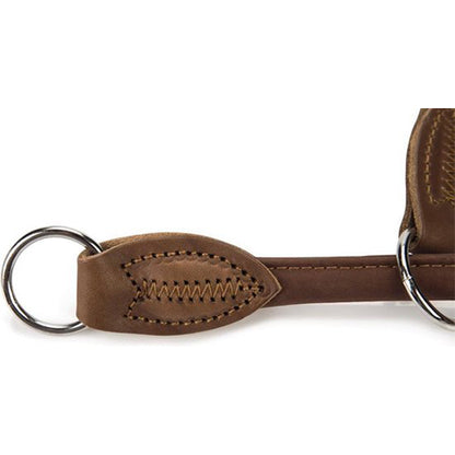 Beeztees Buffalo Sliphalsband met Stop - Bruin - 45 cm x 10 mm