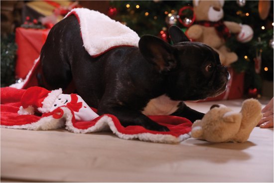 Croci - Kerstdeken met Kerstman -  Hondendeken - Kattendeken - 100X70 cm