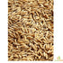 Paddy rijst in zak 0,8 - 4 - 17 kg Classies