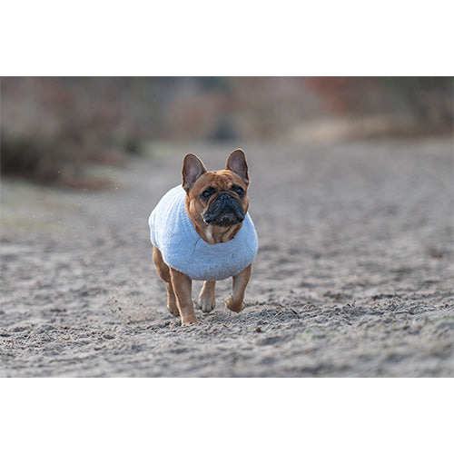 Jack and Vanilla Dogwalk Sweater Plush Milano - Zachte Warme Hondentrui - Kleur: Geel - Verkrijgbaar in 6 maten