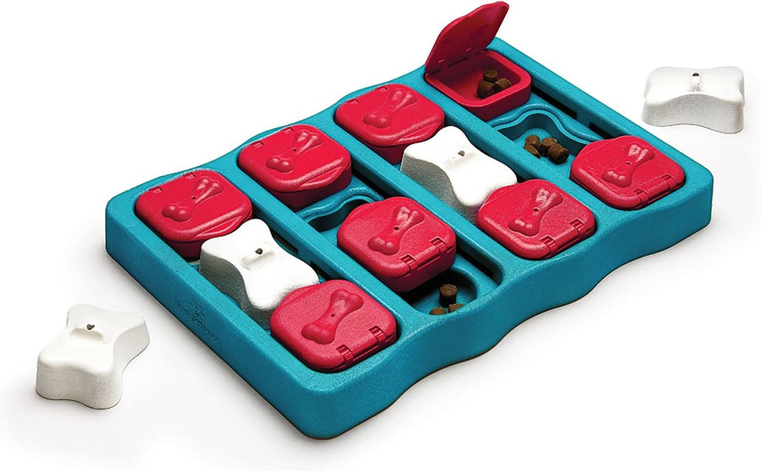 Nina Ottosson – Hundespiel – Hundestein