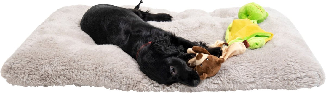Jack and Vanilla Baby Hug Blanket Bear – Welpenspielzeug – Beruhigendes Spielzeug für Hund oder Welpe